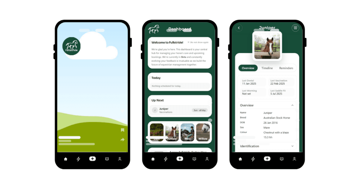 Mobile phone home screen showing the Fullstride app shortcut.
